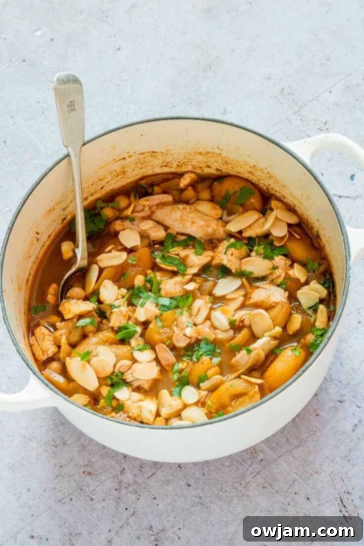 Fragrant Moroccan Turkey Stew