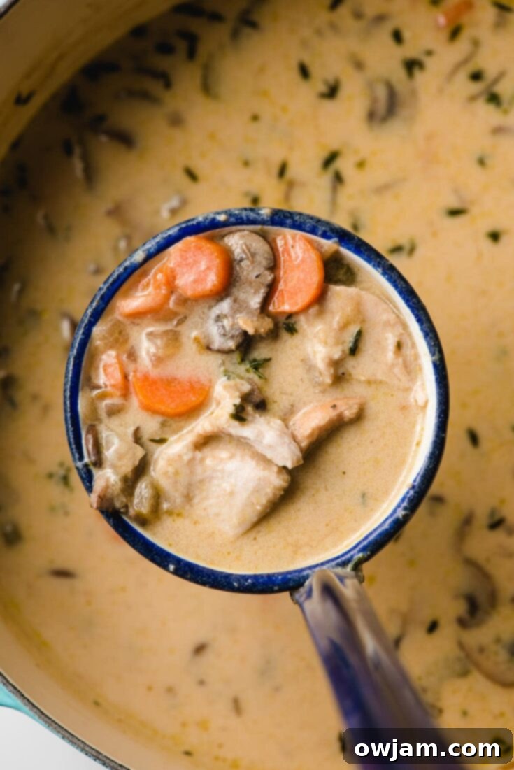 Creamy Turkey Soup with Mushrooms and Thyme