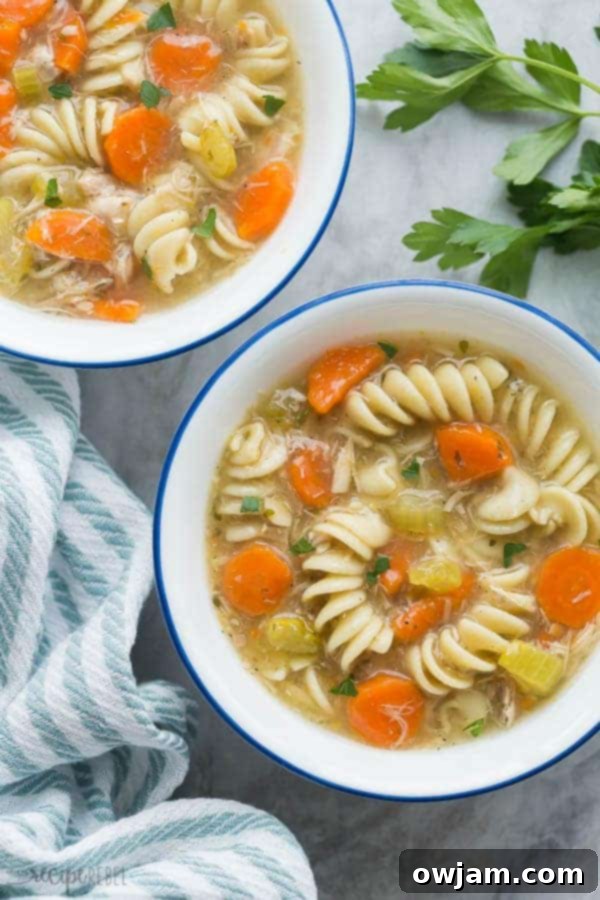 Turkey Noodle Soup