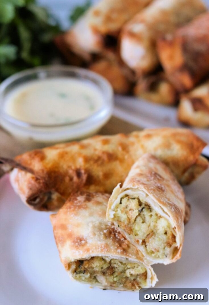 Turkey & Stuffing Air Fryer Egg Rolls