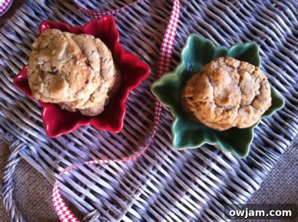 Delicious Peanut Butter Oatmeal Chocolate Chip Cookie ready to be eaten