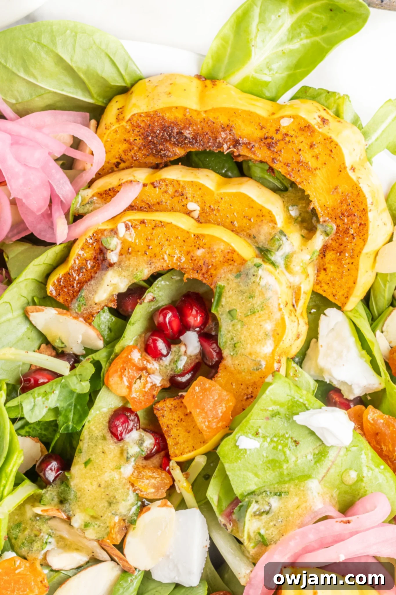 A beautifully plated Za'atar Roasted Delicata Squash salad, drizzled with dressing and garnished with pomegranate seeds.