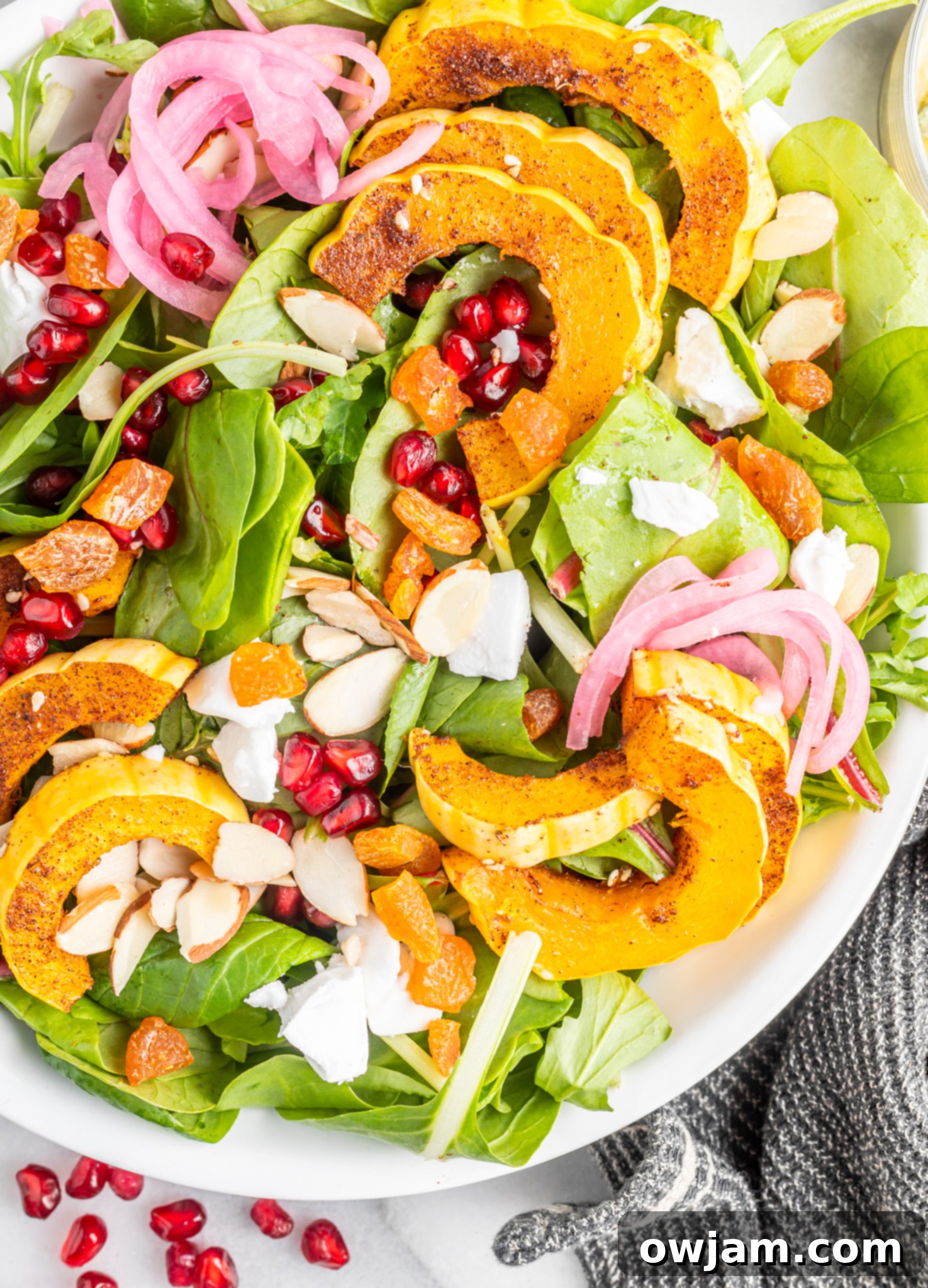 A vibrant Za'atar Roasted Delicata Squash salad, served over a bed of greens with pickled red onions, pomegranate, almonds, feta, and apricots.