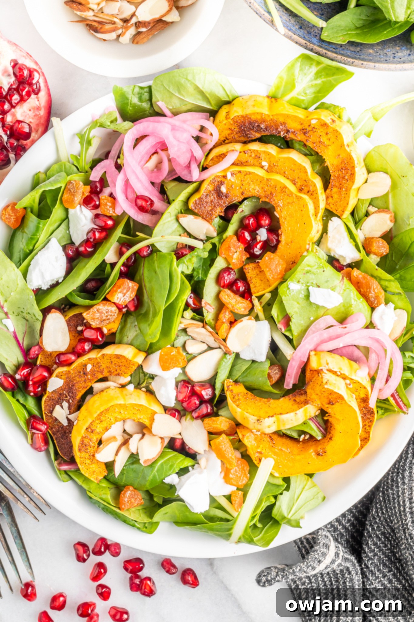 Za'atar Roasted Delicata Squash pieces, adorned with ruby-red pomegranate seeds, ready to be served.