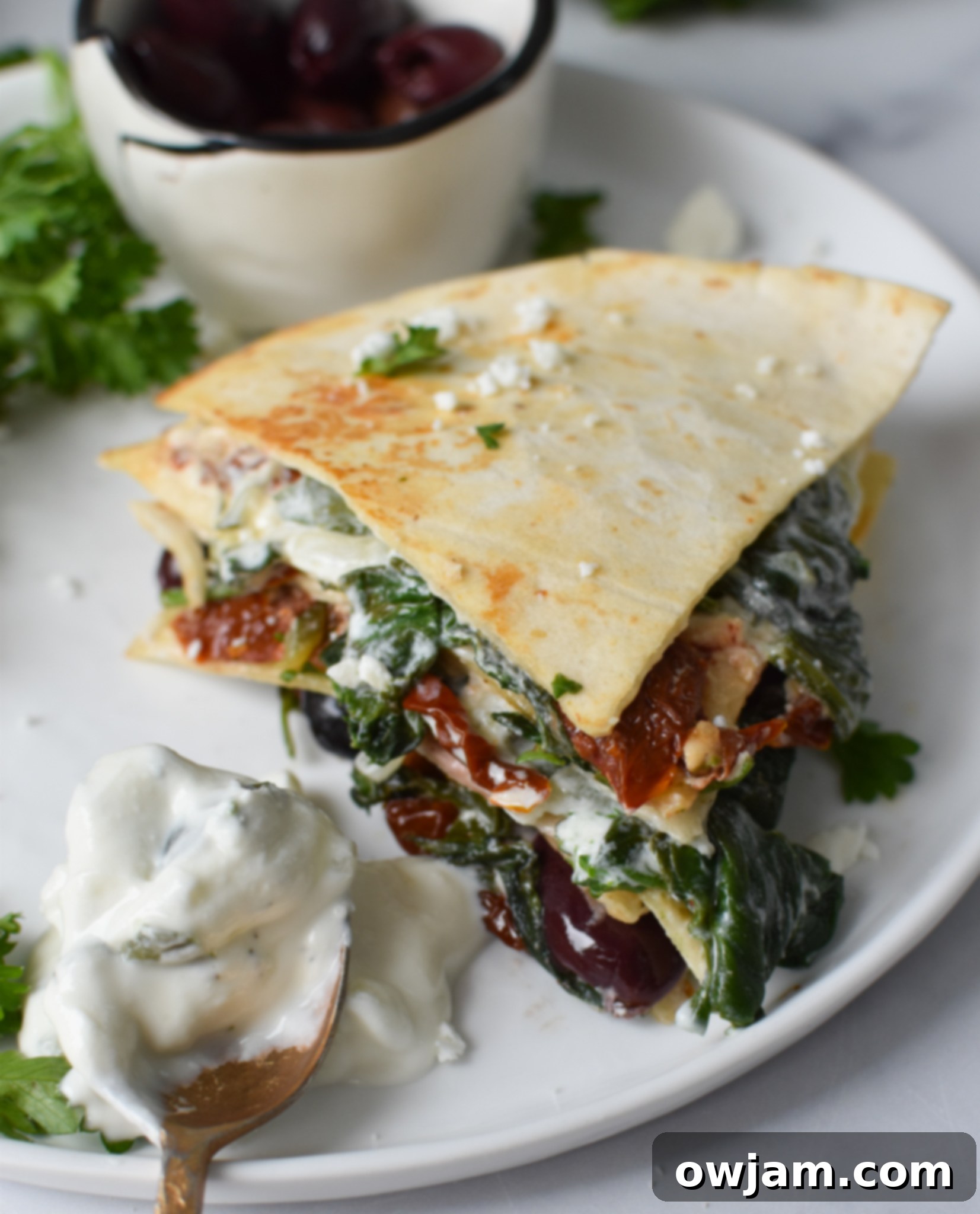 Easy Cheesy Veggie Quesadillas 2 Easy Vegetarian Quesadilla Recipe with tzatziki sauce, served on a plate.