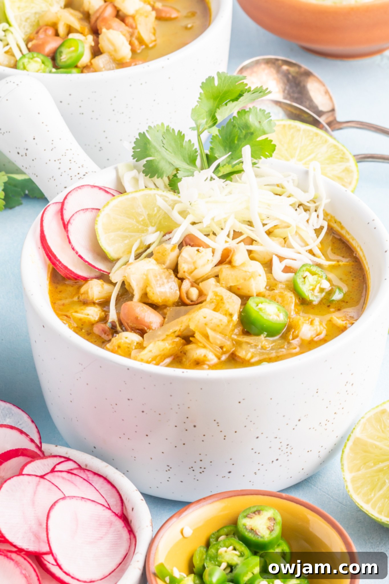 Comforting Pinto Bean Soup 7 Vegan Pinto Bean Soup garnished with fresh onion and cilantro.