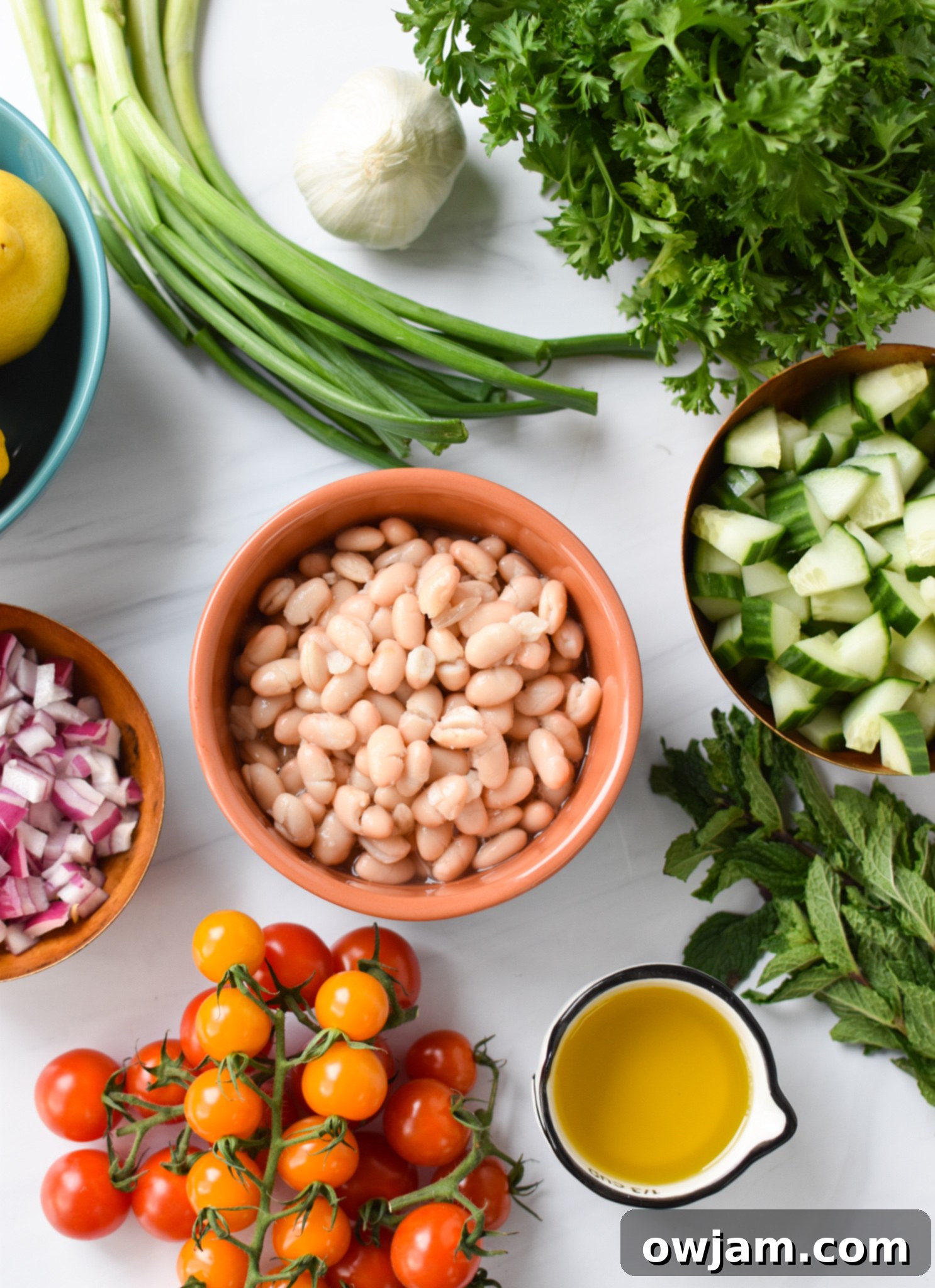 Sun Drenched White Bean Medley 4 Fresh ingredients for Mediterranean White Bean Salad, including beans, tomatoes, cucumber, and herbs.