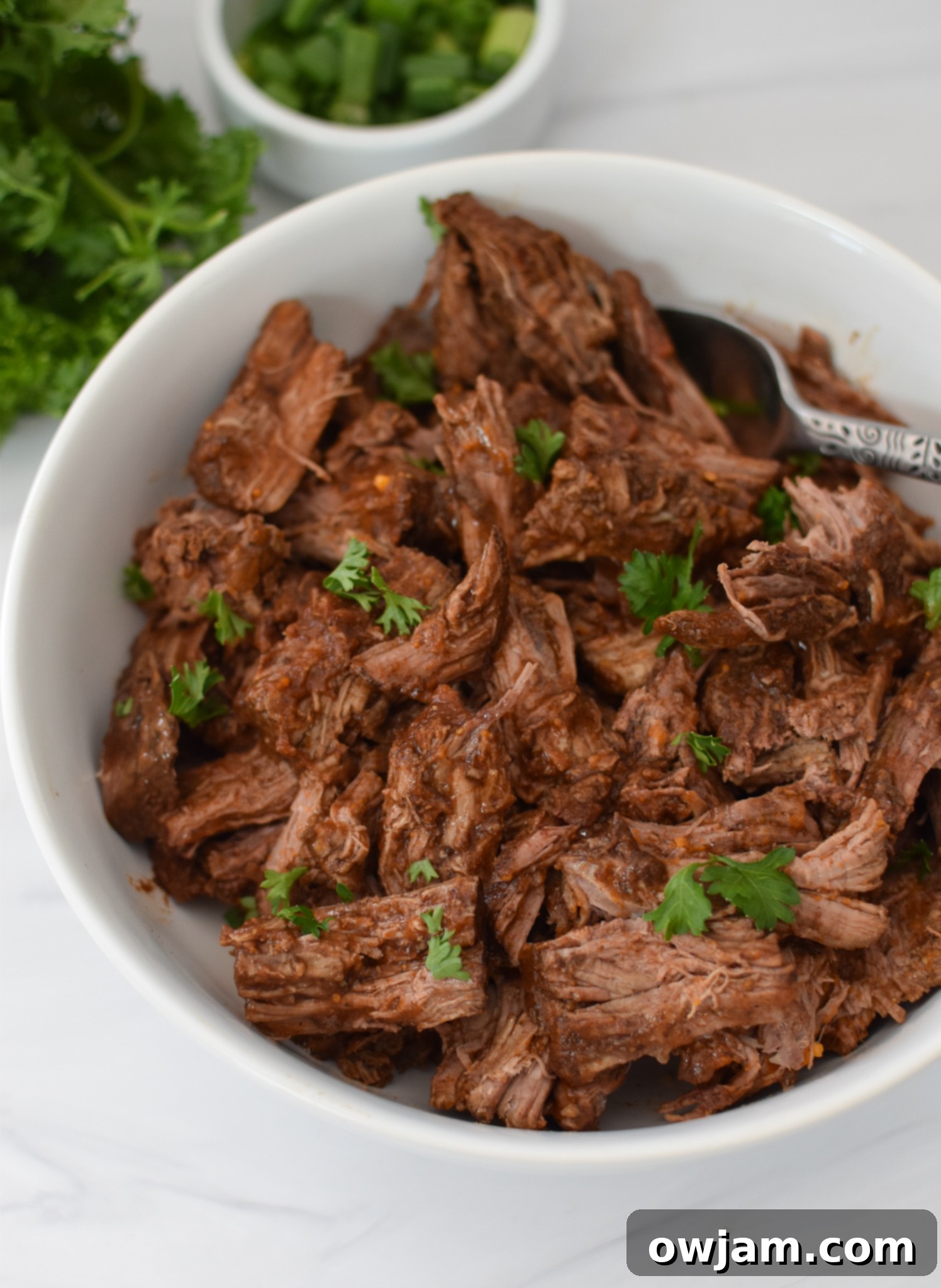 Mediterranean Shredded Beef Hummus Bowls 6 A delicious Slow Cooker Shredded Beef Hummus Bowl ready to be enjoyed.