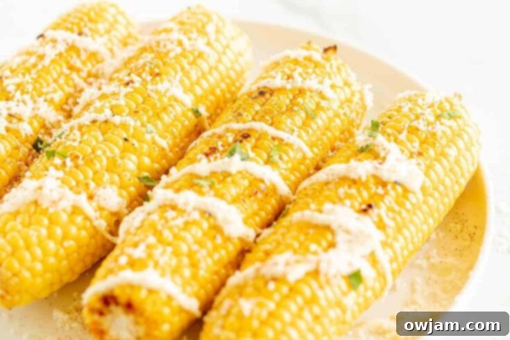 23 Irresistible Sides to Elevate Your Taco Night 23 An Elote (Mexican Street Corn) on the cob, generously garnished with crumbled cotija cheese, creamy dressing, and a sprinkle of chili powder.