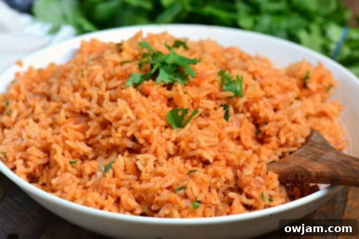 23 Irresistible Sides to Elevate Your Taco Night 14 A dish of traditional Spanish Rice, a flavorful staple in Mexican cuisine, with visible tomatoes and spices.