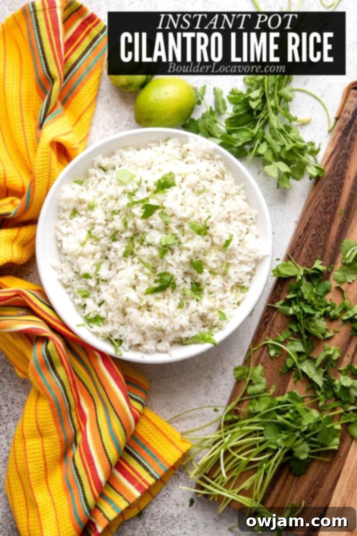 23 Irresistible Sides to Elevate Your Taco Night 9 A serving of vibrant Instant Pot Cilantro Lime Rice, garnished with a generous sprinkle of fresh cilantro.