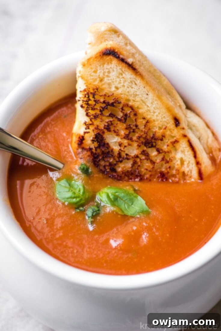 Bowl of Fresh Tomato Soup with roasted tomatoes and basil
