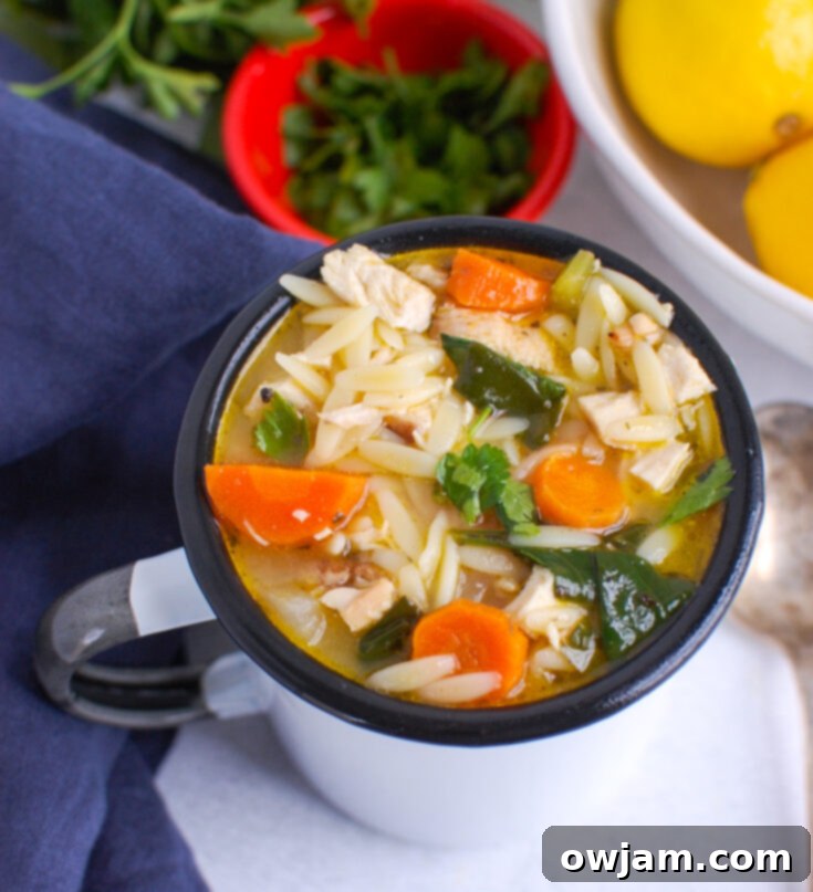 Bright and zesty Lemon Chicken Orzo Soup with fresh dill