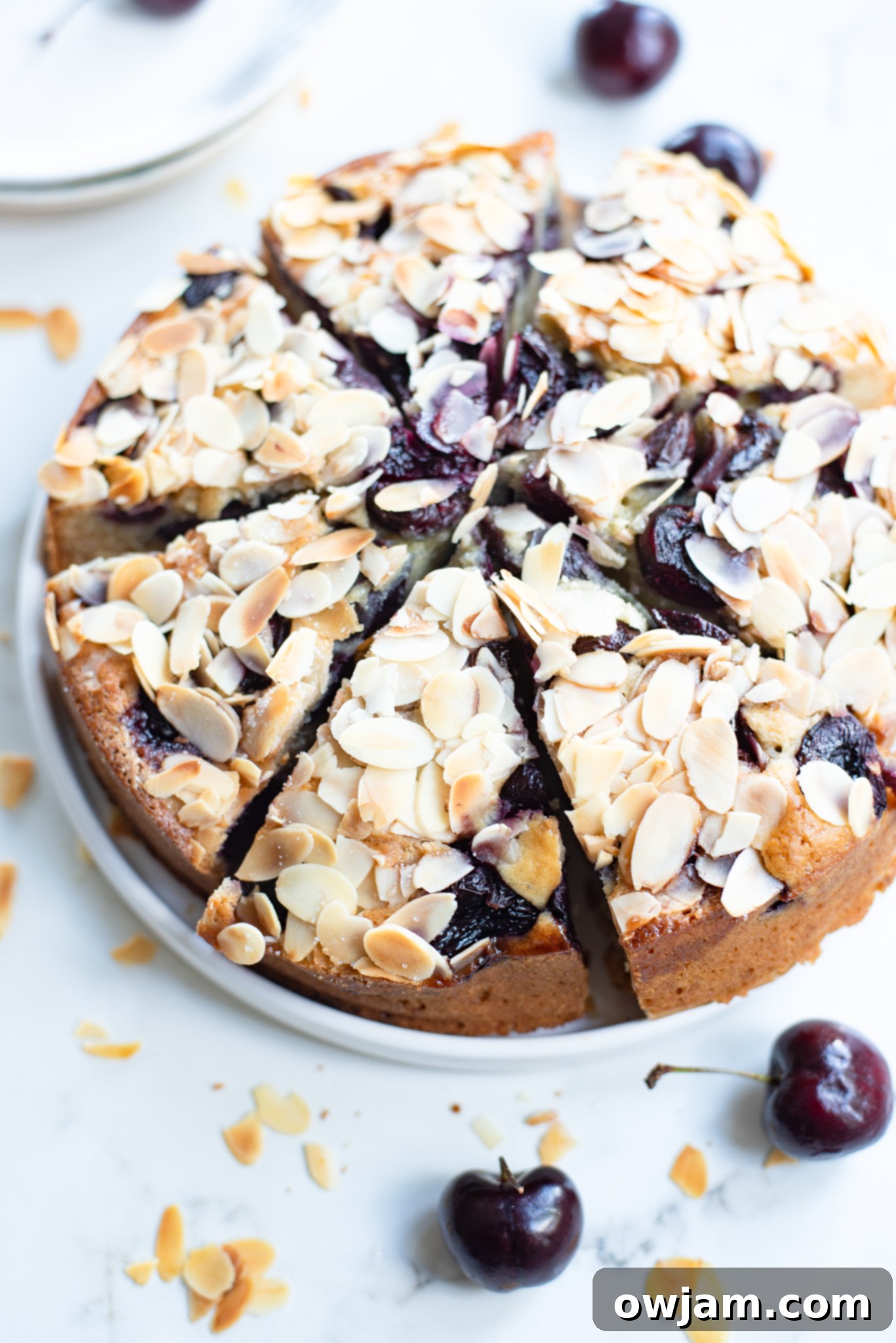 A Cherry Almond Cake, still in its springform pan, adorned with glistening fresh cherries and golden almonds on top.