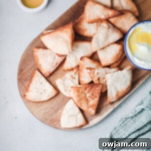 Golden Air-Fried Pita Crisps 11 Air Fryer Pita Chips recipe card image