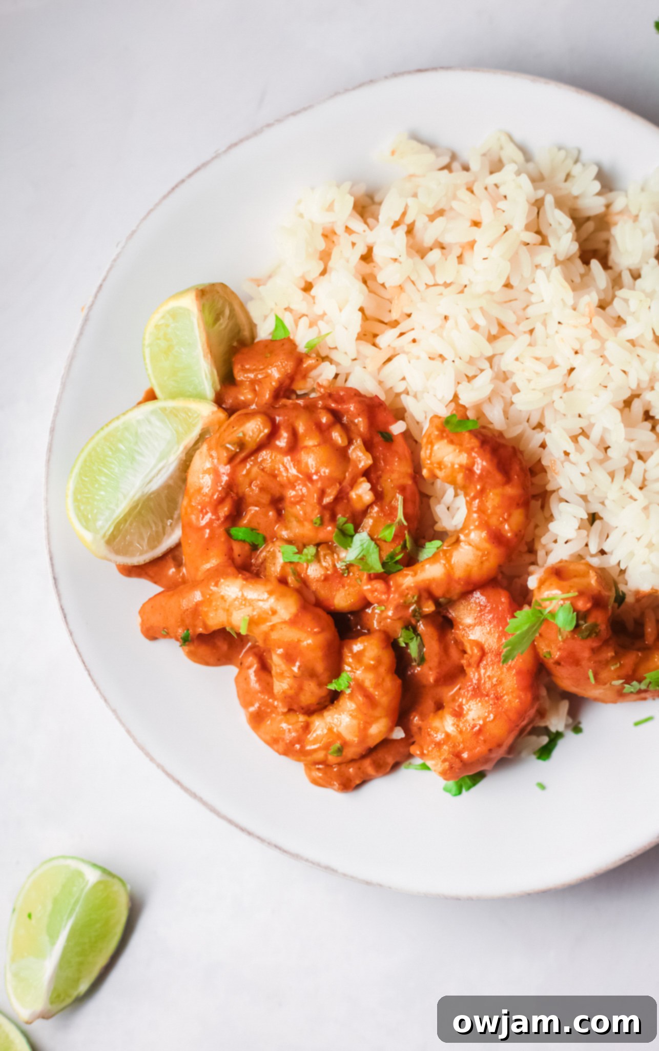 Go-To Shrimp Curry 2 Easy Shrimp Curry with lime wedges, ready to serve.