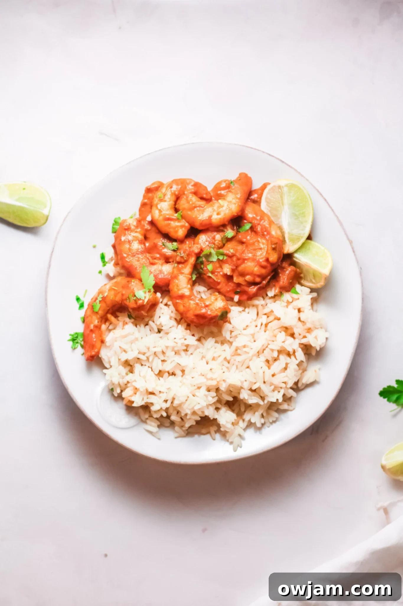 Go-To Shrimp Curry 3 Easy Shrimp Curry Recipe with rice, garnished with fresh cilantro.