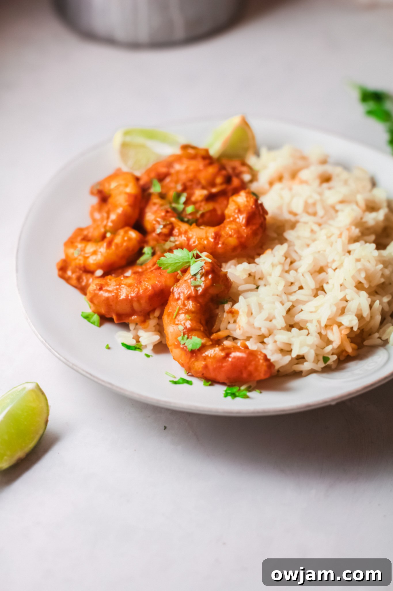 Go-To Shrimp Curry 4 Easy Shrimp Curry Recipe garnished with fresh cilantro.