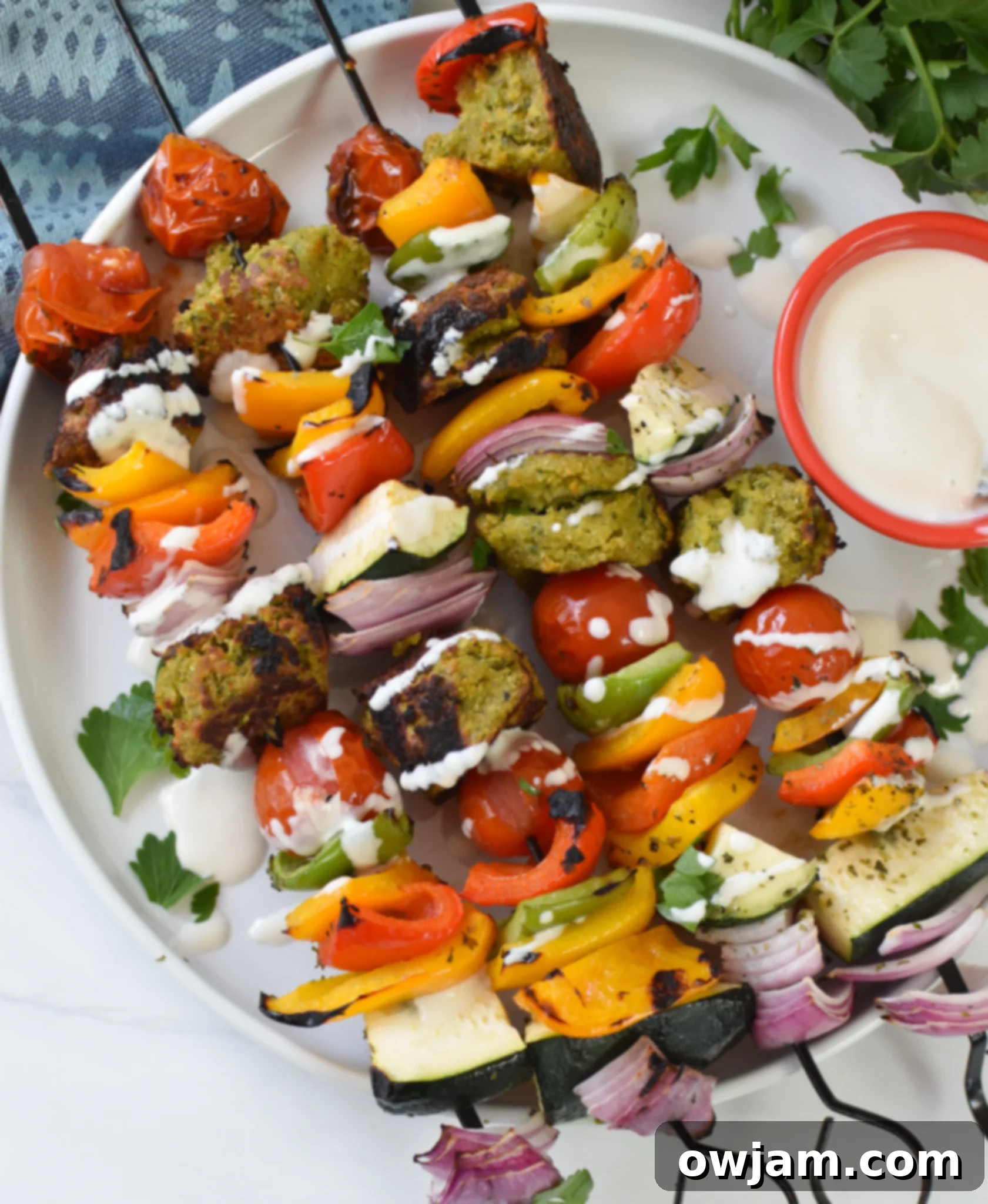 Falafel Vegetable Kabobs on a white plate. 