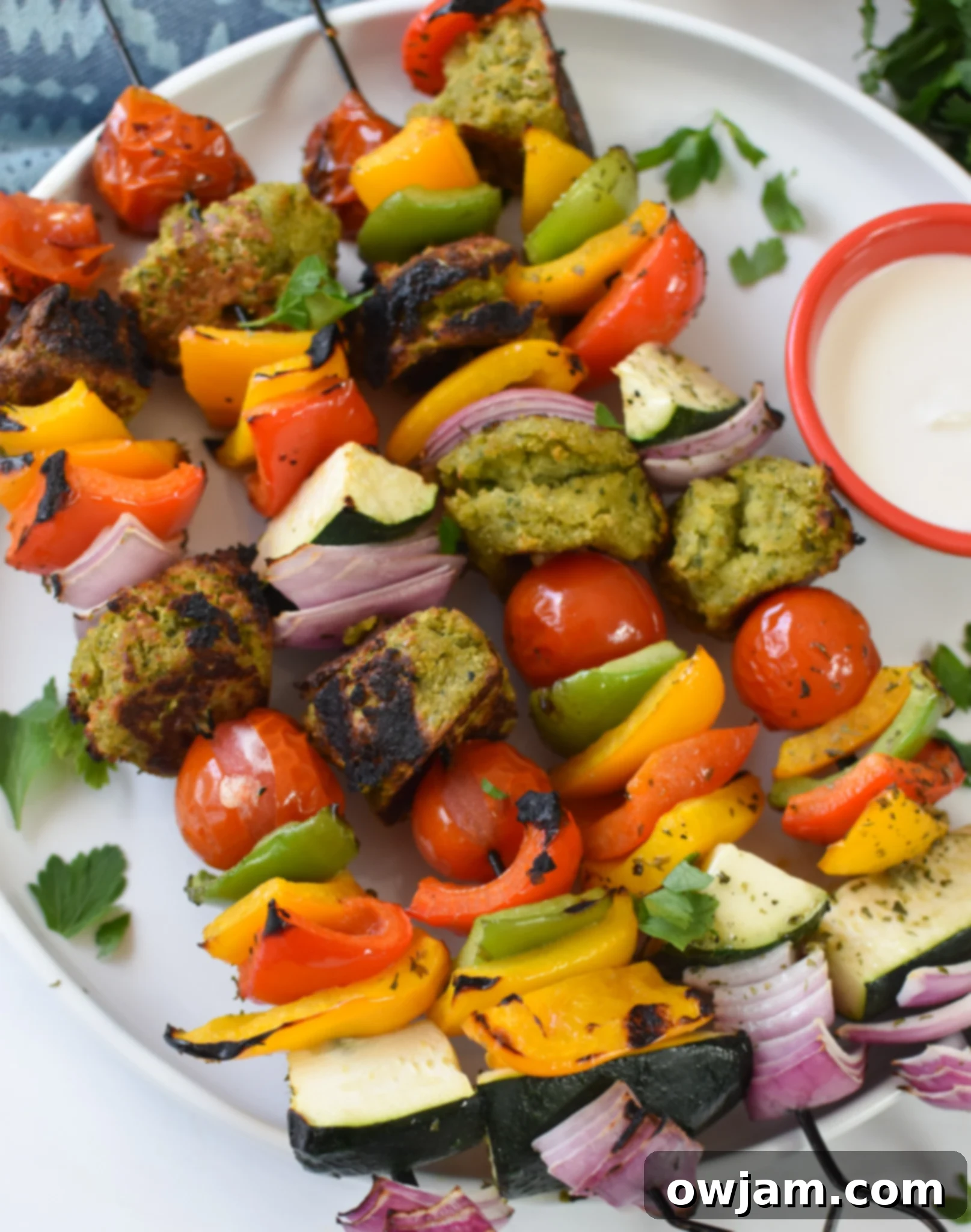 Falafel Vegetable Kabobs on white plate. 