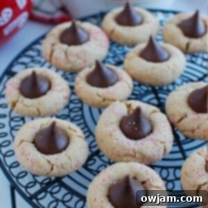 Peanut Butter Blossom Cookies