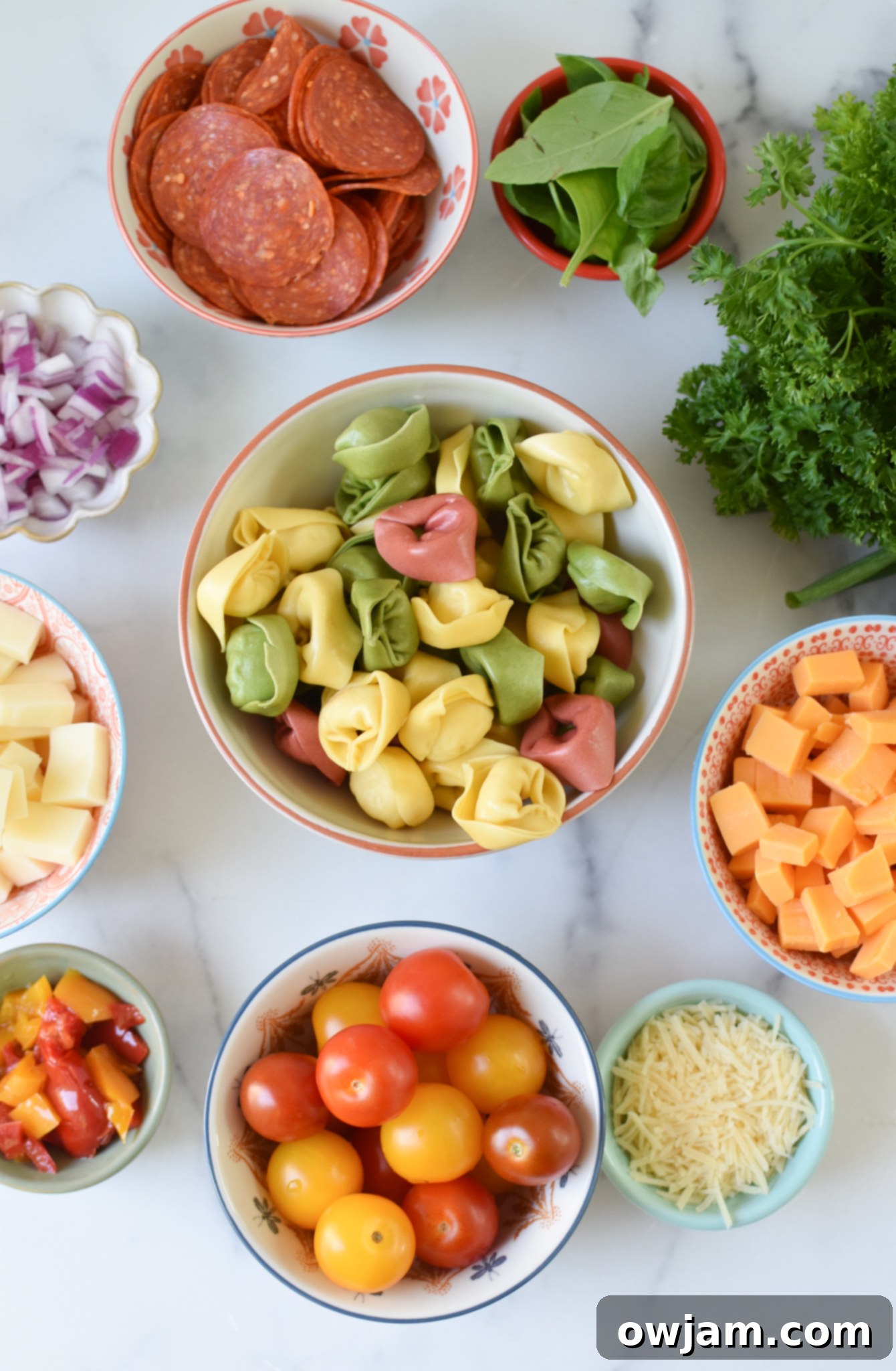 Italian Tortellini Salad ingredients. 