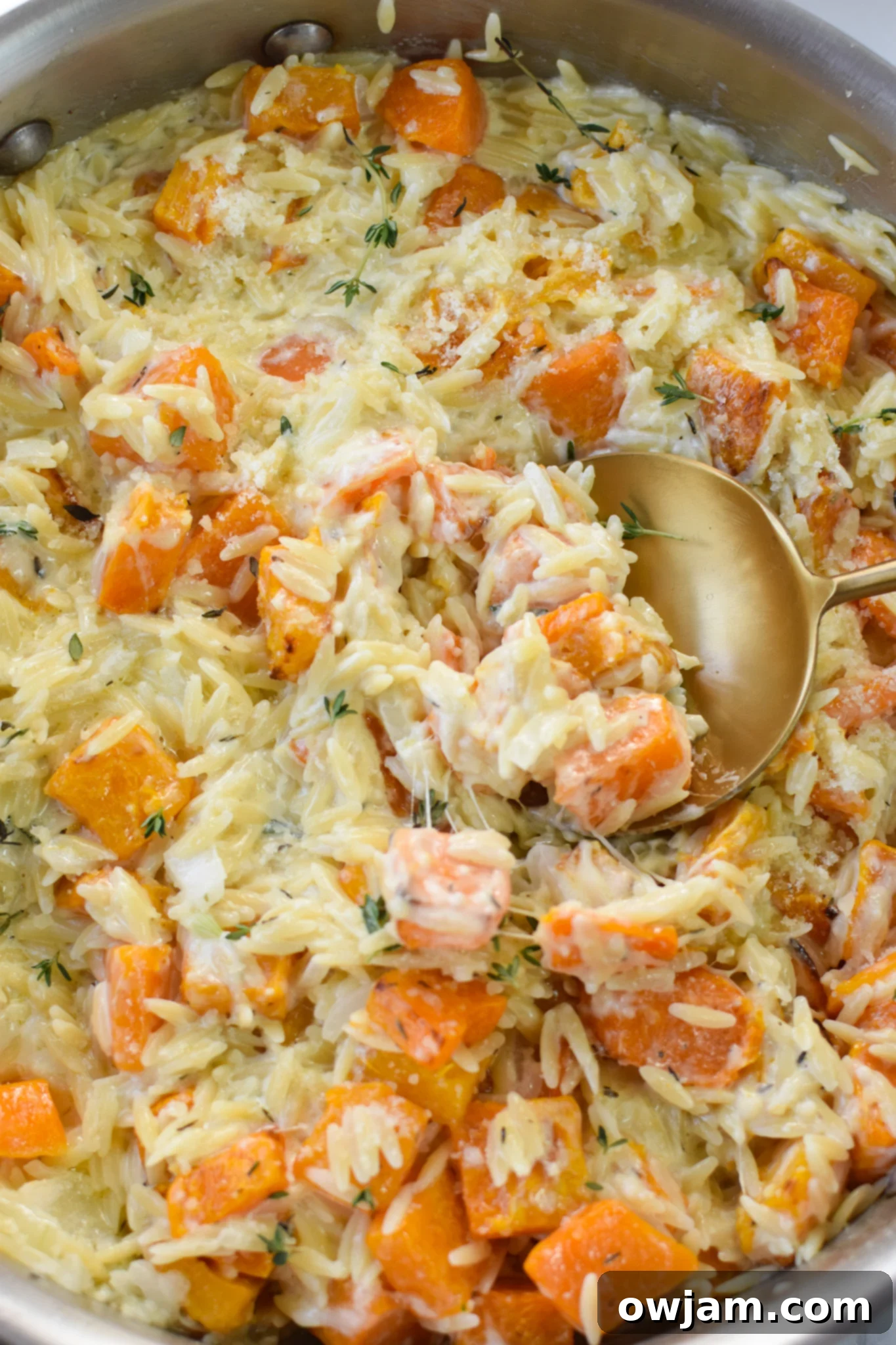 Golden Cheesy Butternut Squash Orzo 2 Cheesy Butternut Squash Orzo with gold spoon.