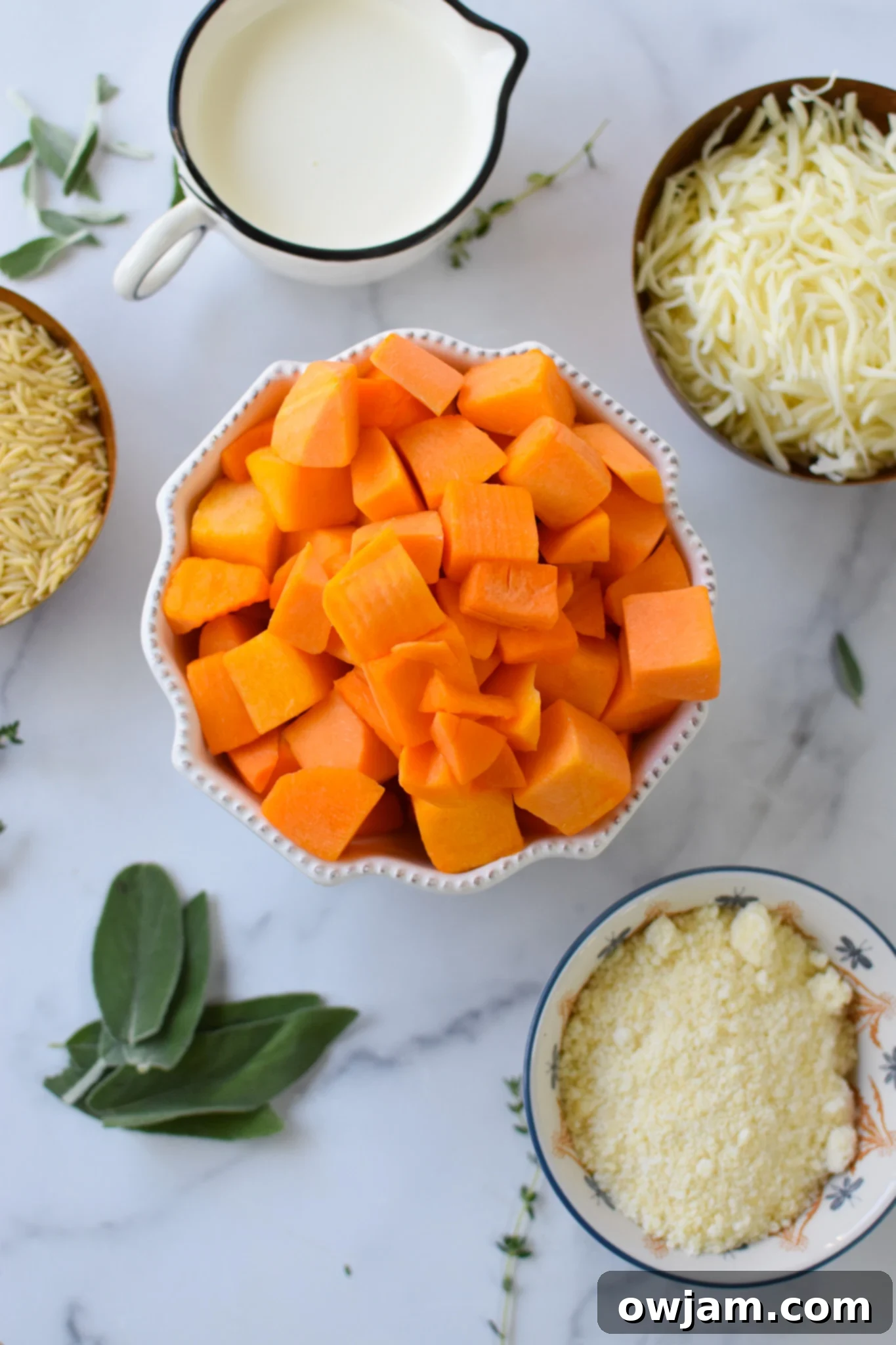 Golden Cheesy Butternut Squash Orzo 3 Cheesy Butternut Squash Orzo ingredients.