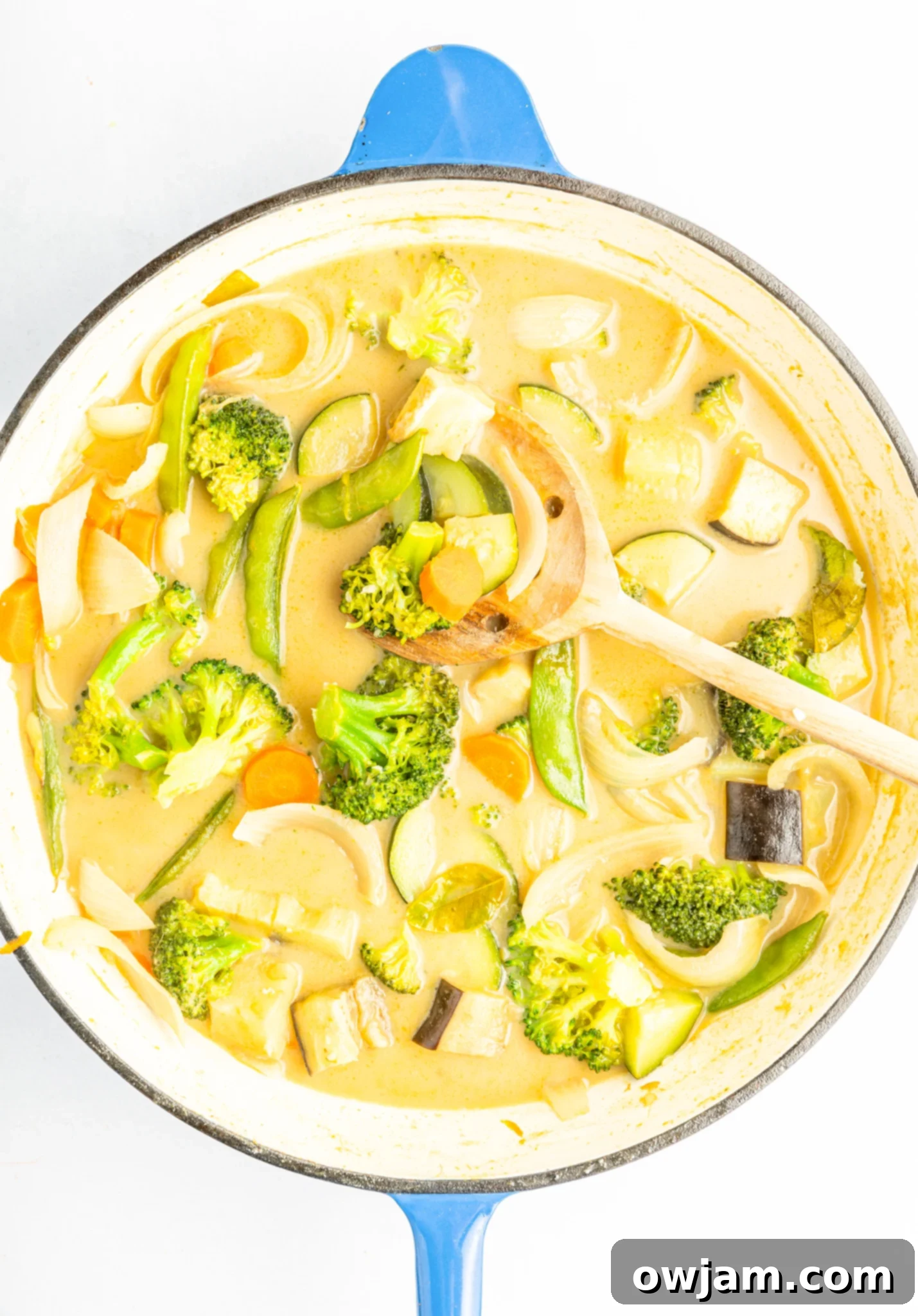 A large pot of Thai Vegetable Green Curry simmering gently, with a spoon resting in it, showing the creamy texture.