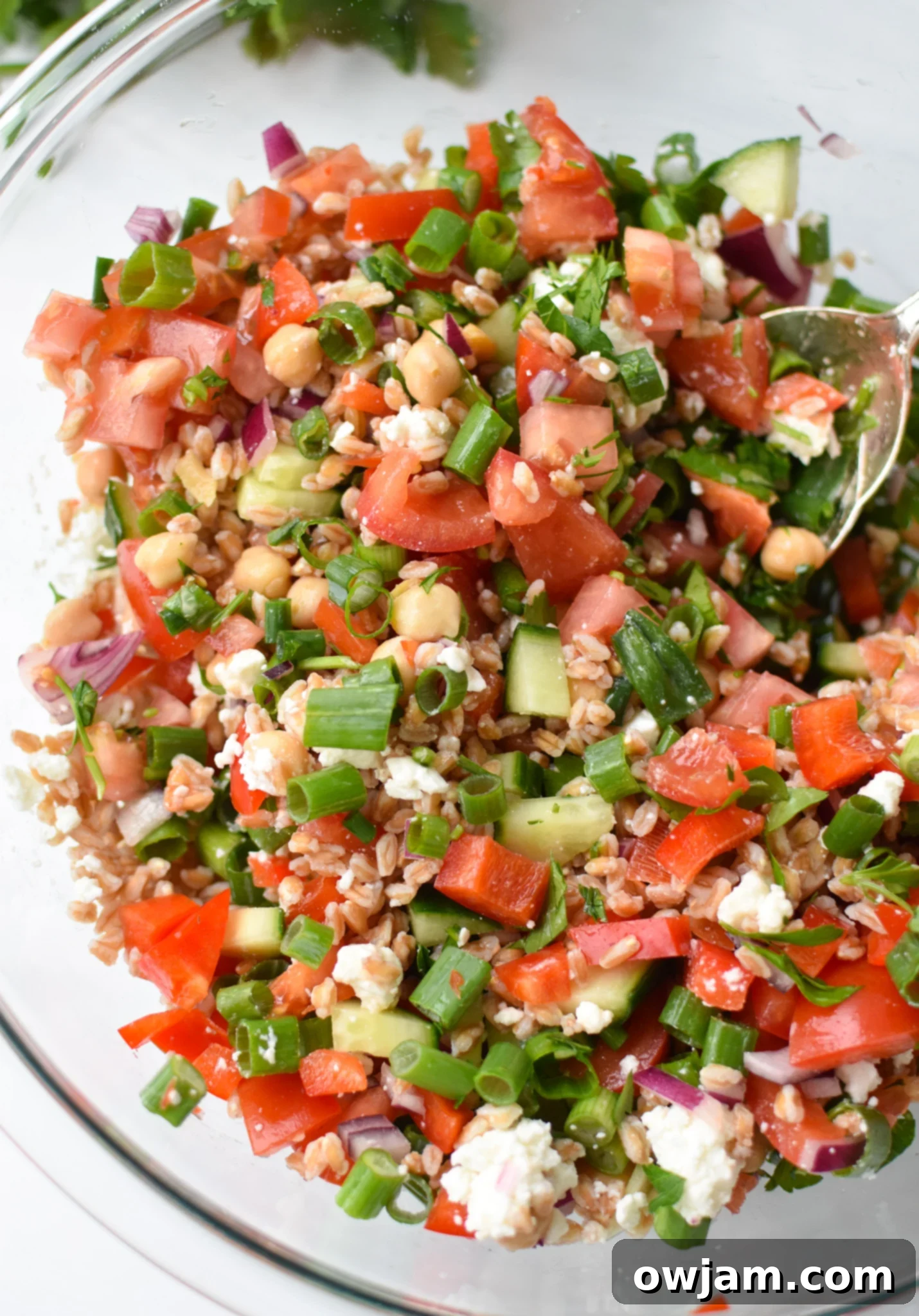 Vibrant Mediterranean Farro Bowl 2 Mediterranean Farro Salad in a clear bowl.