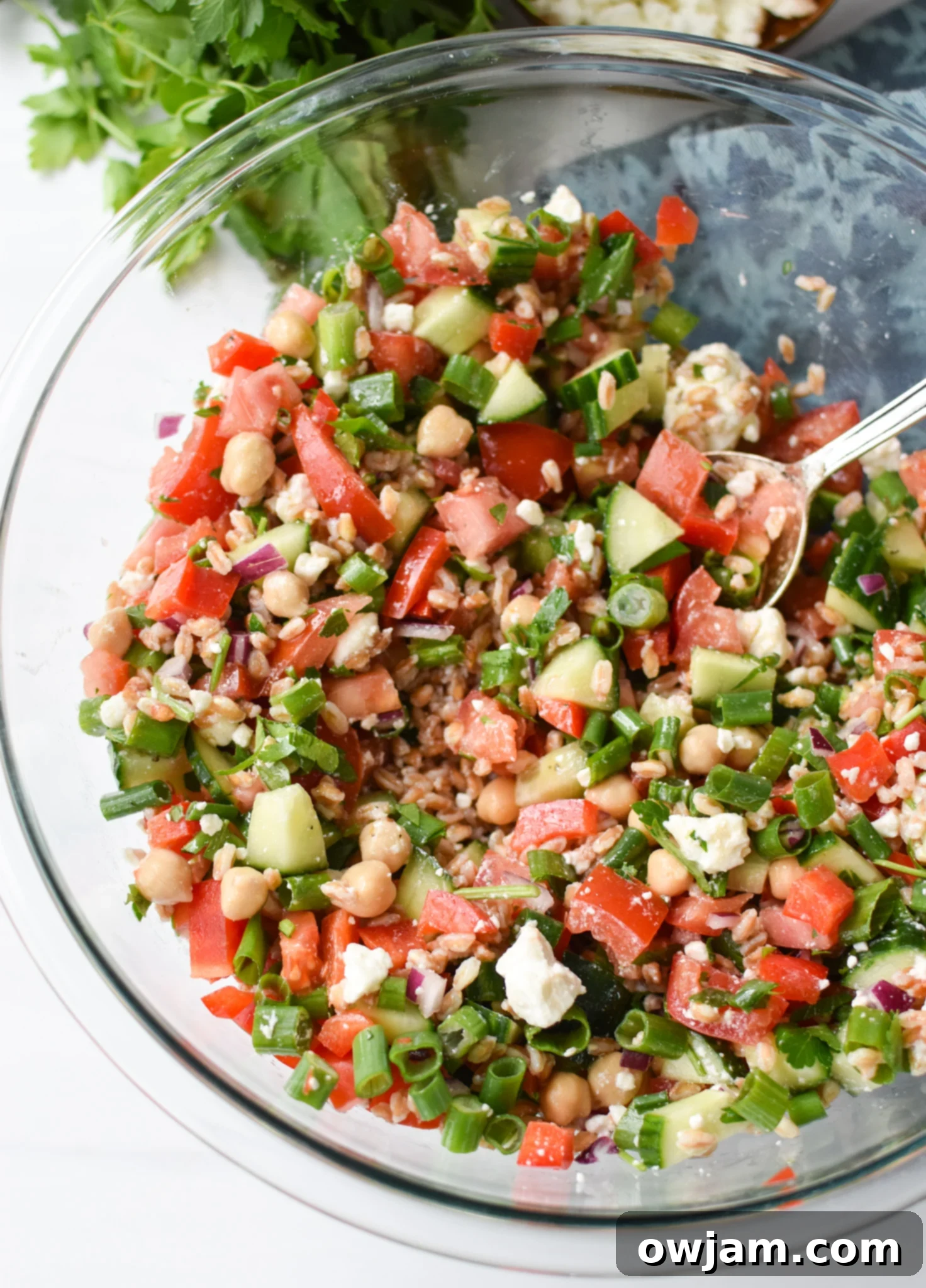 Vibrant Mediterranean Farro Bowl 6 Mediterranean Farro Salad in a clear bowl.