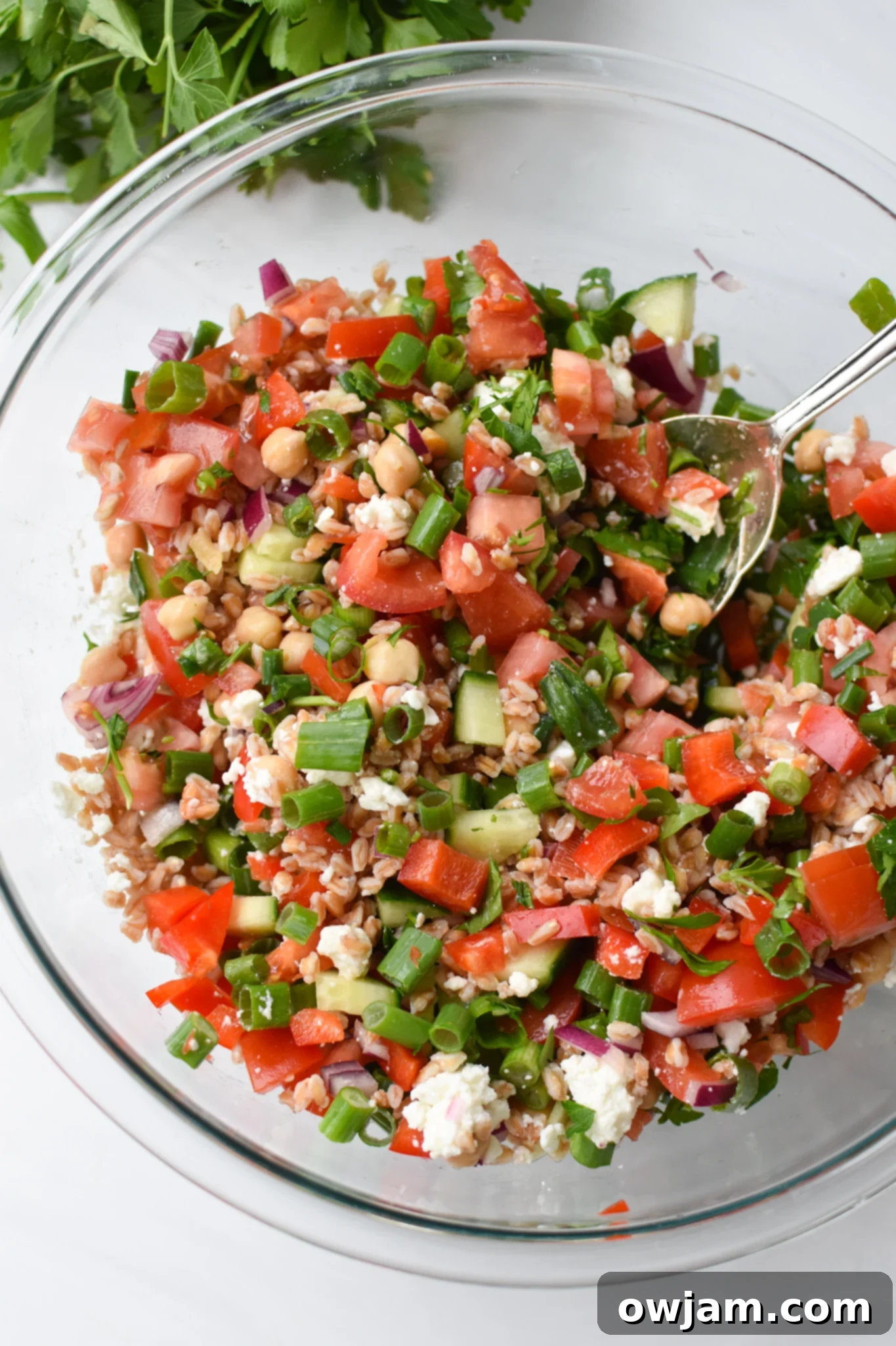 Vibrant Mediterranean Farro Bowl 7 Mediterranean Farro Salad with a spoon.