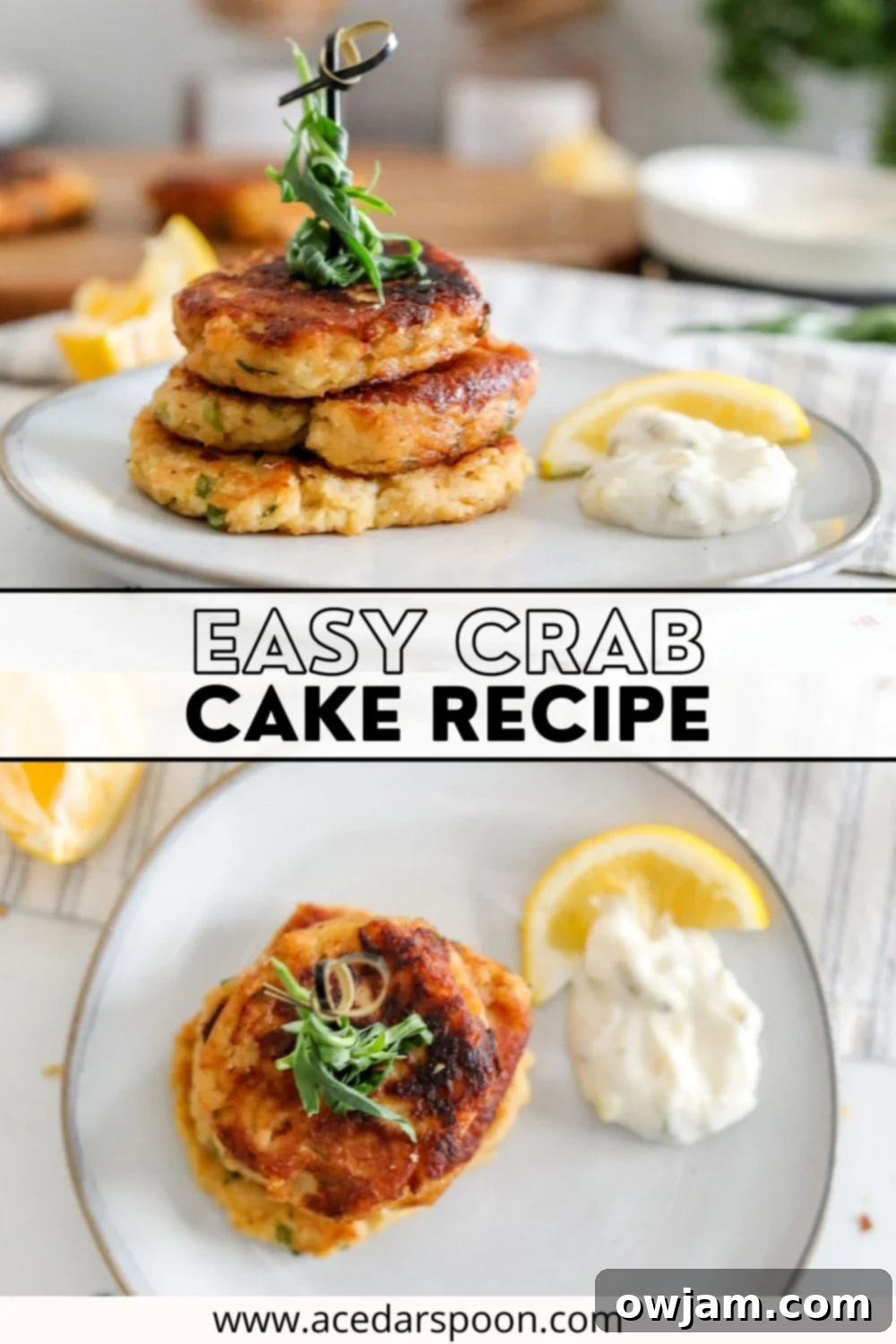 Effortless Crab Cake Perfection 12 Easy Crab Cake Recipe with logo.