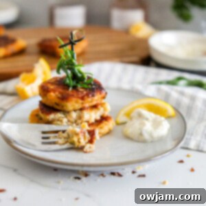 Effortless Crab Cake Perfection 13 Easy Crab Cake Recipe crab cake on a white plate.