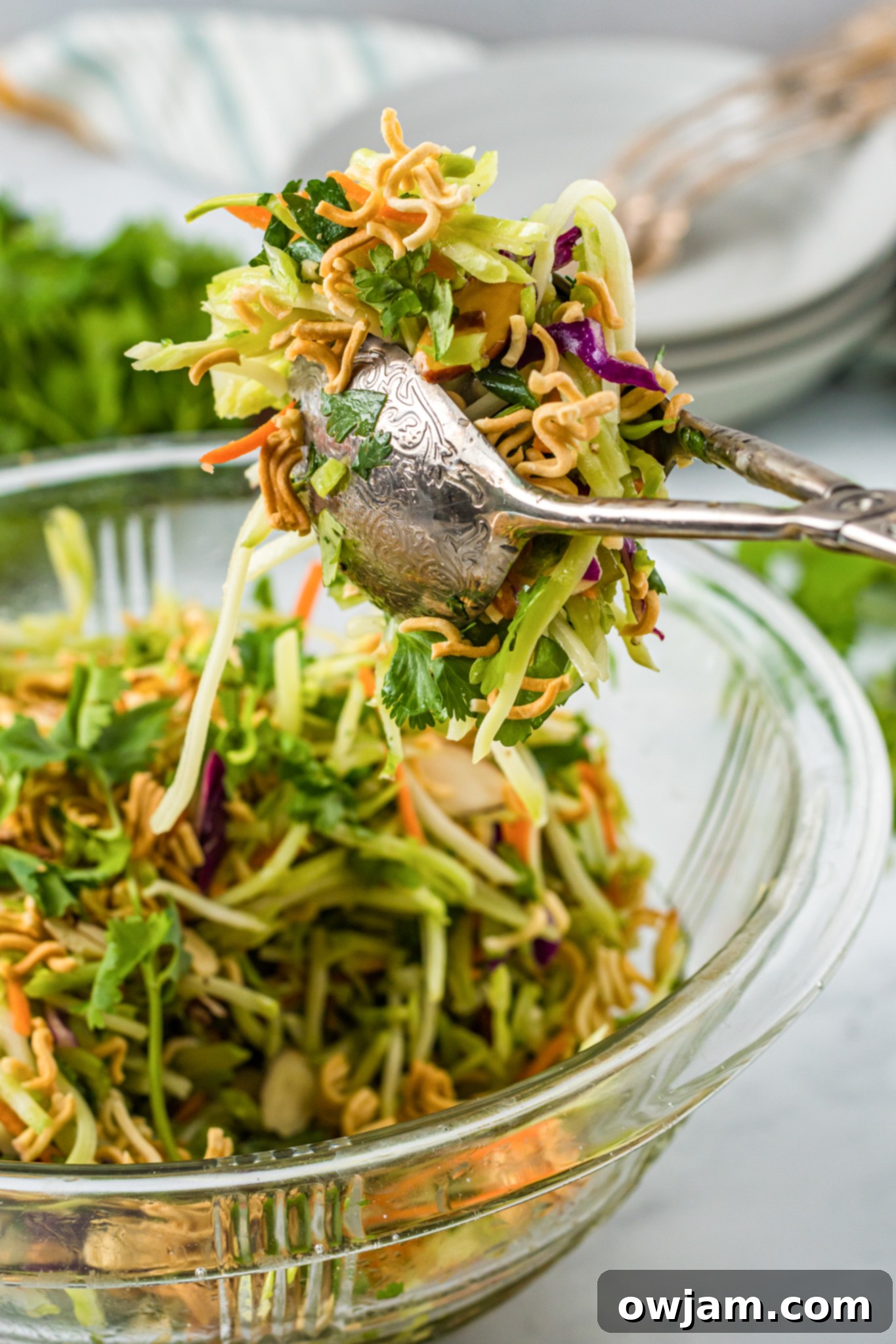 Zesty Broccoli Slaw 4 Broccoli Slaw Recipe being tossed with tongs.