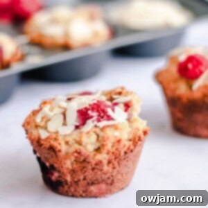 Keto Raspberry Muffins 1200 x 1200