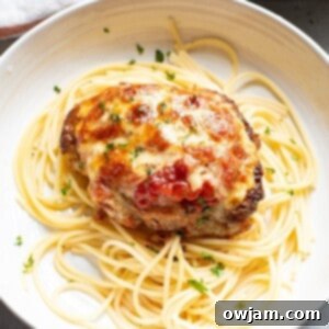 Golden Parmesan Pork Chops 10 Parmesan Crusted Pork Chops, an easy recipe, 1200 x 1200