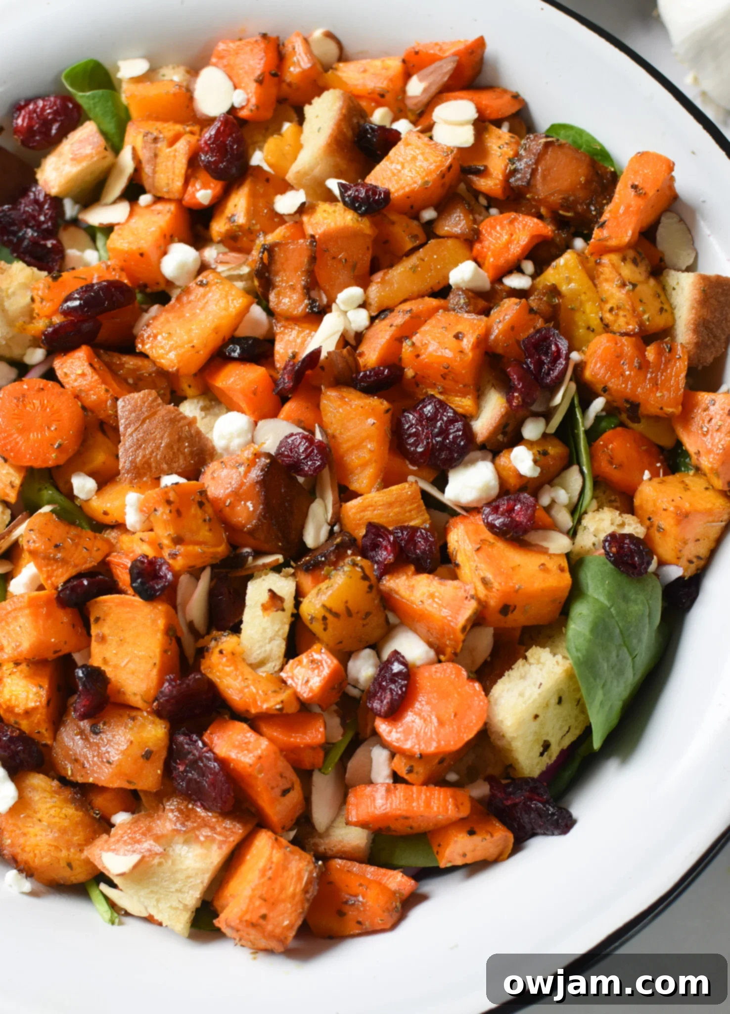 Roasted Vegetable Salad squash in a bowl. 