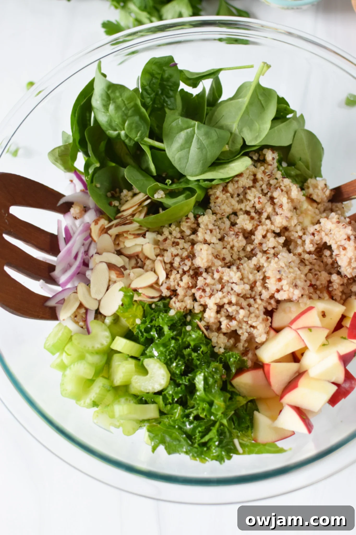 Nourishing Apple Kale Quinoa Salad 6 Apple Kale Quinoa Salad ingredients in a bowl.