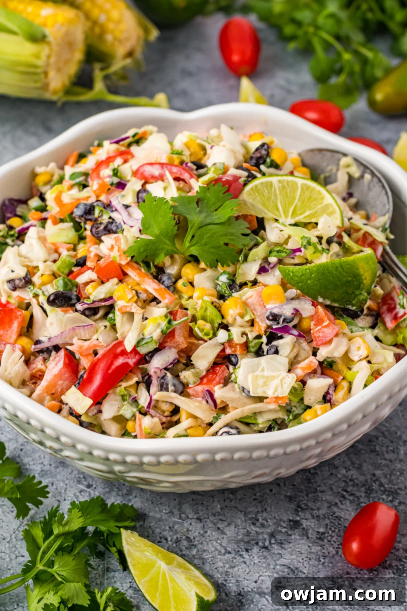 Zesty Mexican Fiesta Slaw 2 Easy Mexican Coleslaw in a white bowl, garnished with cilantro and lime wedges