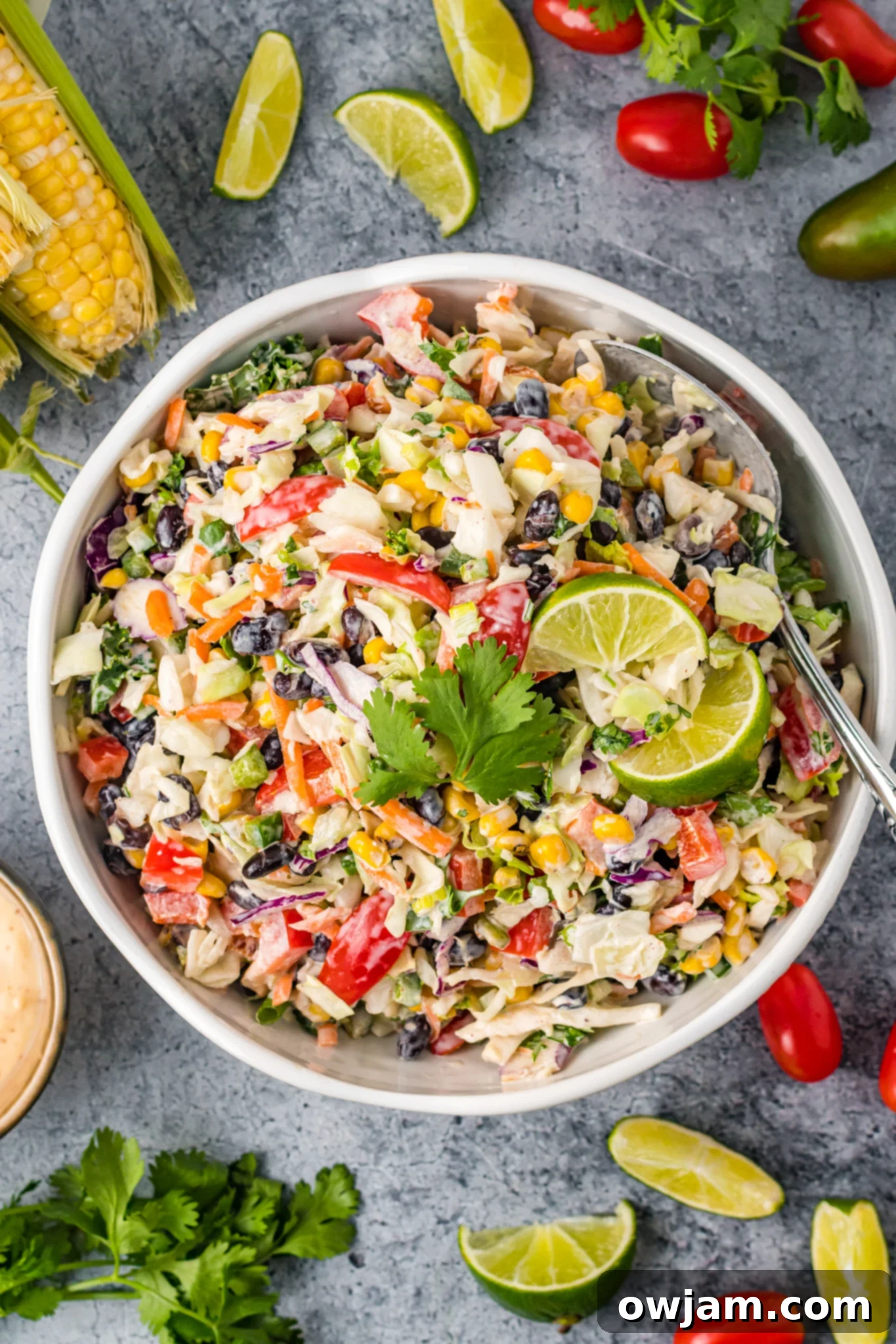 Zesty Mexican Fiesta Slaw 3 Easy Mexican Coleslaw in a serving bowl with fresh lime slices and cilantro