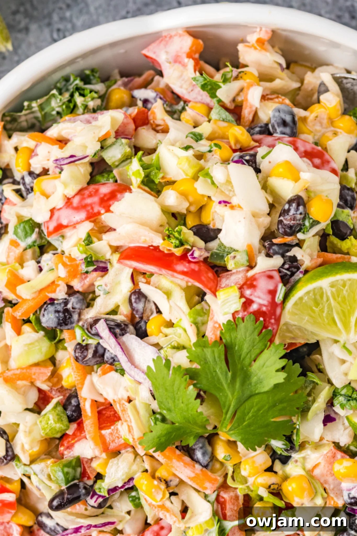Zesty Mexican Fiesta Slaw 5 Easy Mexican Coleslaw garnished with fresh cilantro in a clear bowl