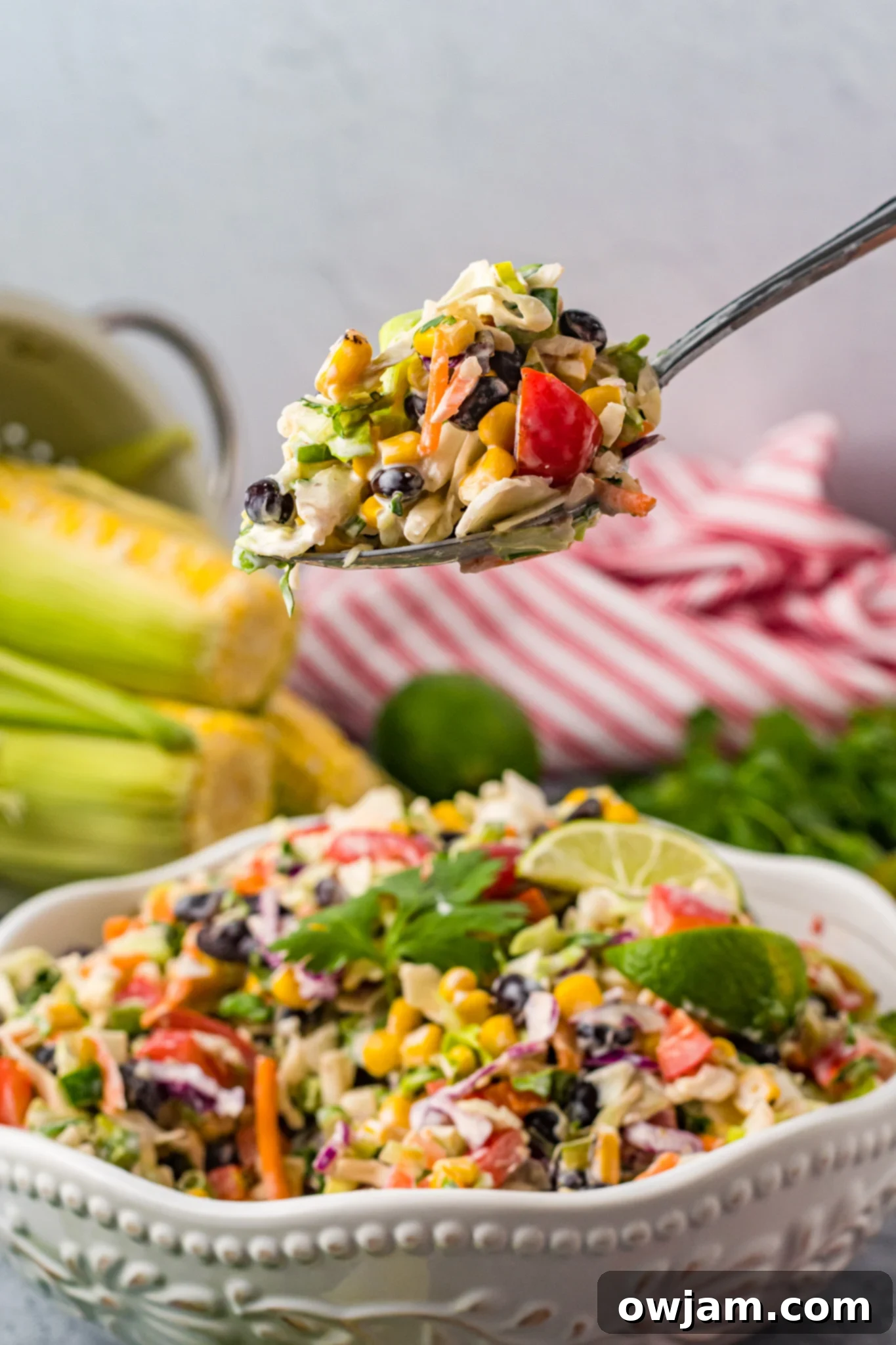 Zesty Mexican Fiesta Slaw 9 A spoonful of Easy Mexican Coleslaw, showcasing its texture and ingredients