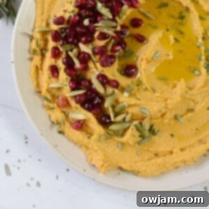 Velvet Pumpkin Dip 8 Creamy Pumpkin Hummus 1200 x 1200