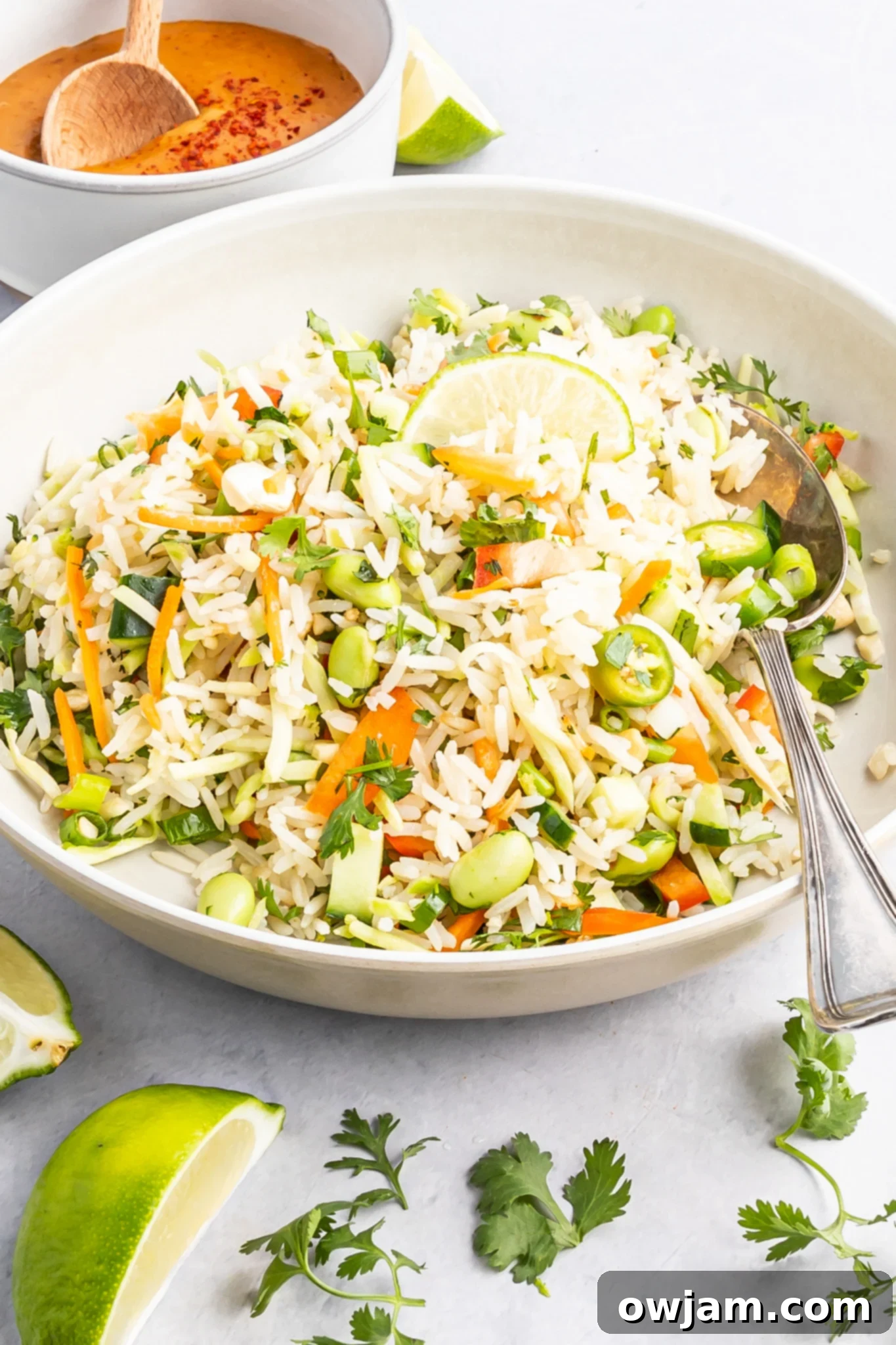 Tropical Coconut Rice Salad 3 Coconut Rice Salad in a bowl with a silver spoon, ready to be served.