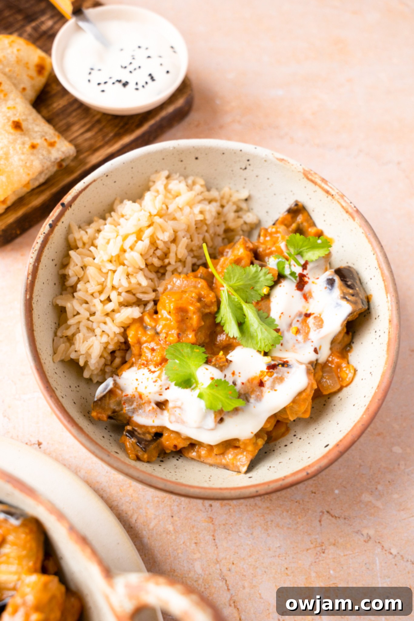 Close-up of Easy Eggplant Curry in a white bowl, garnished with vibrant fresh cilantro.