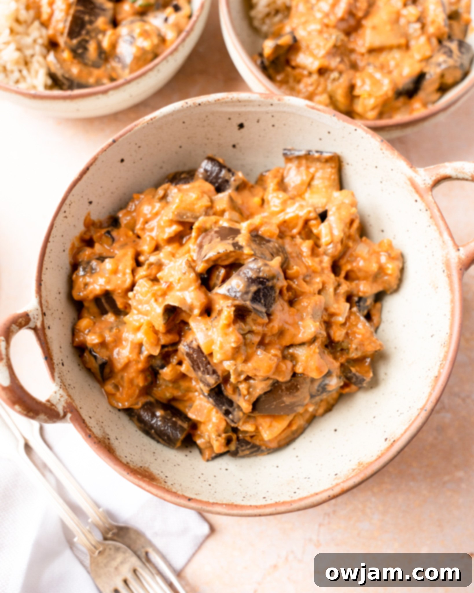 A bowl of freshly made Easy Eggplant Curry, ready to be served, showcasing its vibrant colors and creamy texture.