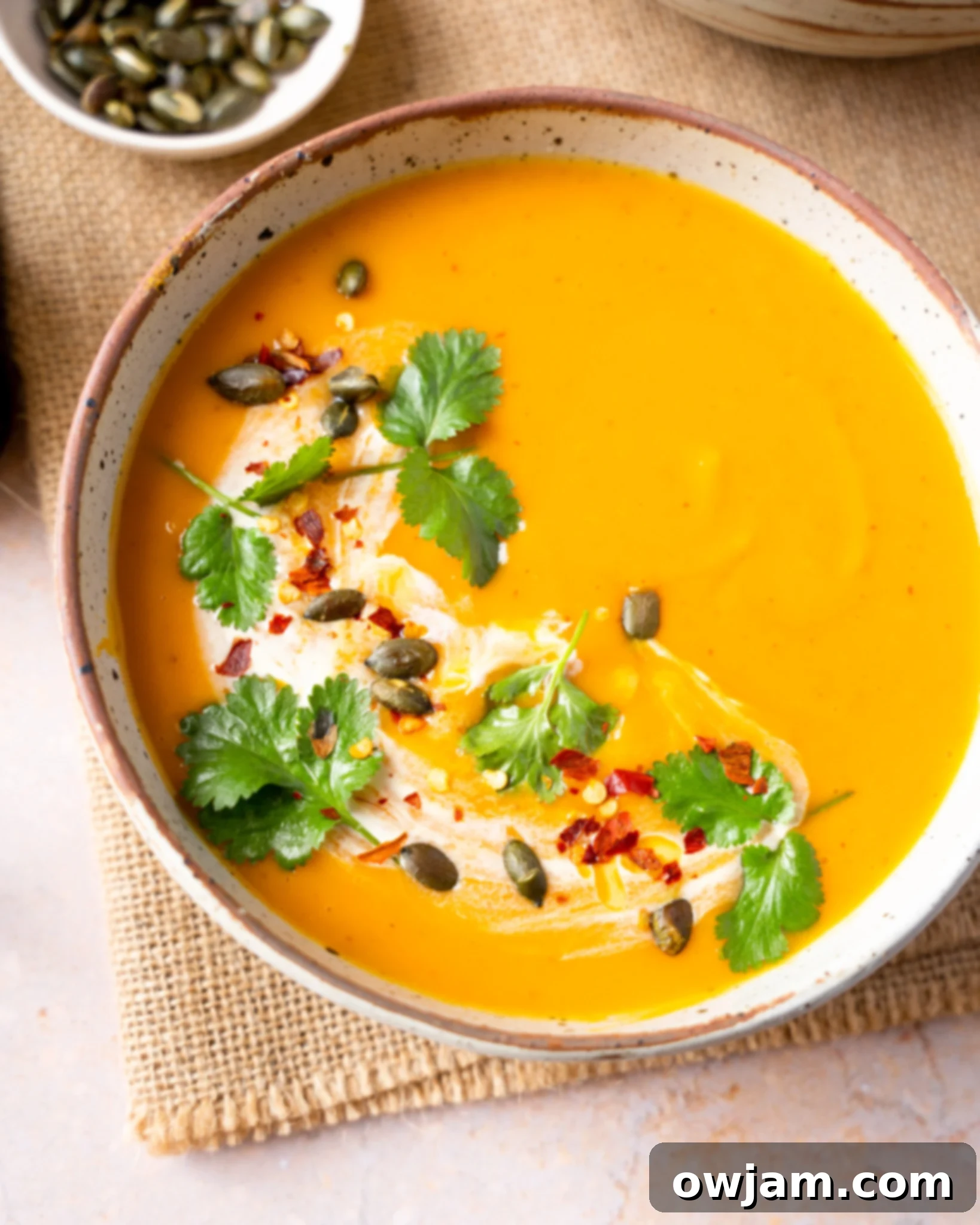 Autumn Ember Pumpkin Soup 2 A bowl of creamy Thai Roasted Pumpkin Soup garnished with fresh cilantro.