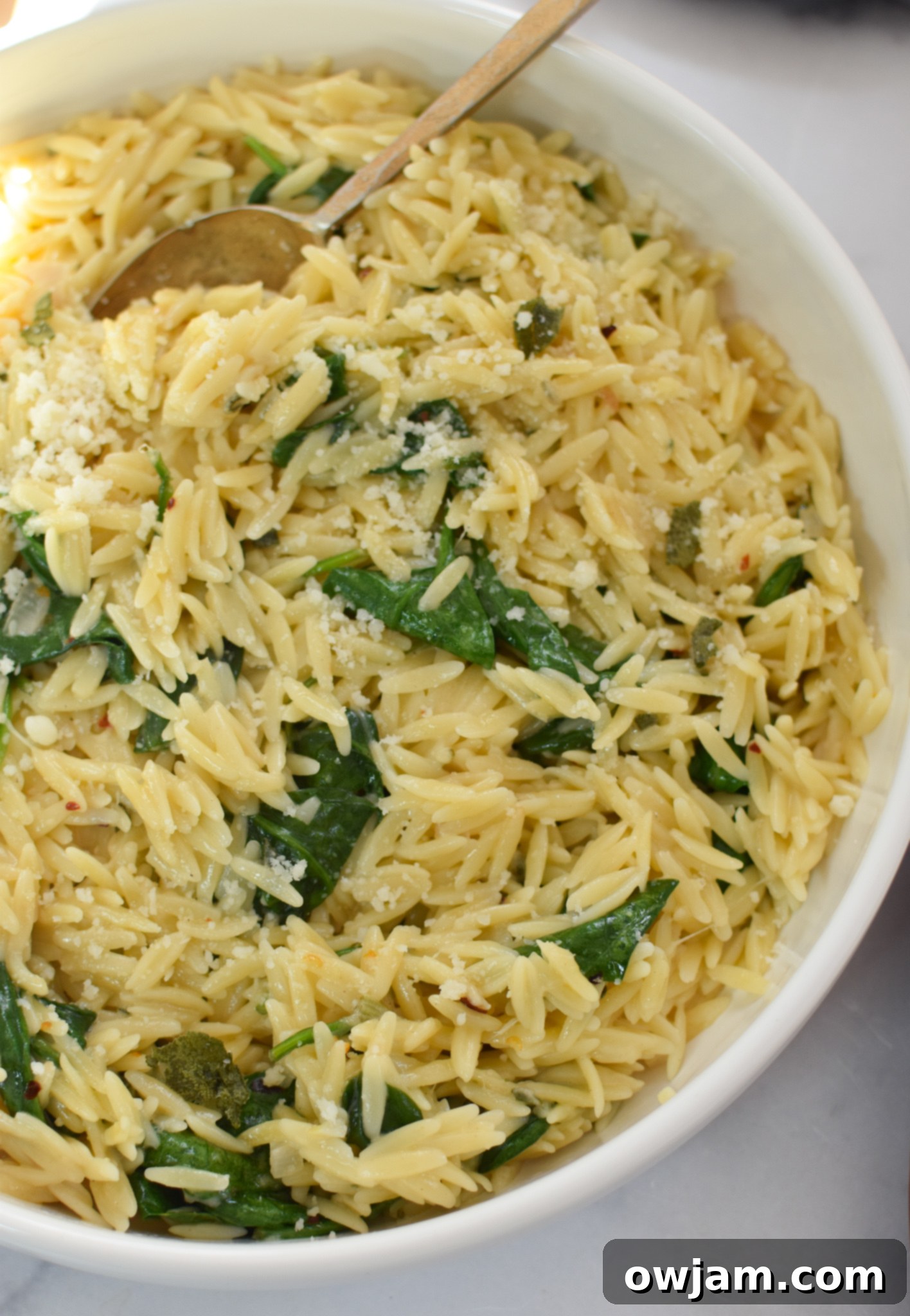 Golden Baked Chicken Bites 7 Baked Chicken Meatballs orzo in a skillet.