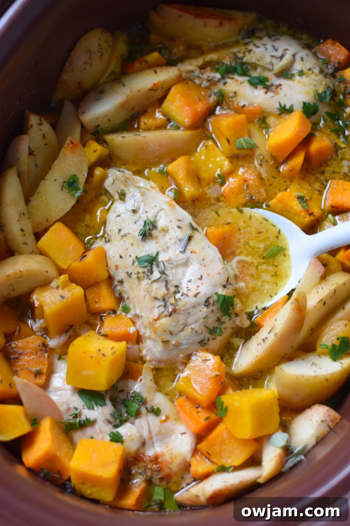 Easy Slow Cooker Apple Chicken Breasts 2 Crockpot Apple Chicken Breast Recipe simmering in a slow cooker, showcasing the rich colors of apples, squash, and chicken.